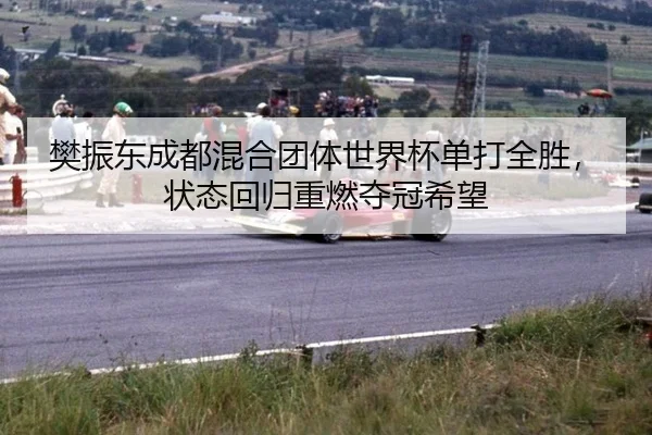 樊振东成都混合团体世界杯单打全胜，状态回归重燃夺冠希望