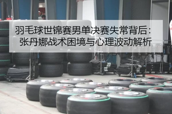 yu-mao-qiu-shi-jin-sai-nan-dan-jue-sai-shi-chang-bei-hou-zhang-dan-na-zhan-shu-kun-jing-yu-xin-li-bo-dong-jie-xi-2-255.jpg